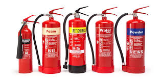 Pin On Article And Blog