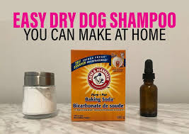 Don't use human shampoo or dog shampoo on your cat. Got A Stinky Dog This Diy Dry Dog Shampoo Can Help Kol S Notes