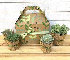 When it comes to buying gifts for girlfriend, you should opt for something unique and romantic that delights her heart. Succulent Gift Box Teacher Gift Garden In A Box Gift For Etsy En 2021 Regalar Plantas Macetas Decoradas Ideas De Maceta