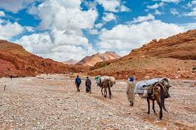 Nomadic Journey Into Atlas Mountains Atlas Mountains Morocco Desert Travel Mountains