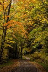The center's camps have consistently garnered acclaim for a positive, experiential environment, with great outdoor programs and a passionate, highly skilled staff. 25 Best West Virginia Campgrounds