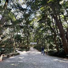 Trianon פארק (parque tenente siqueira campos) ממוקם על הכביש המפורסם ביותר של סאו פאולו בשם השדרה פאוליסטה, בדיוק מול מוזיאון לאמנות סאו. Parque Trianon In Sao Paulo Brazil Google Maps