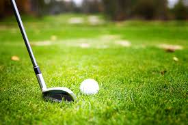 golf irons for seniors and elderly