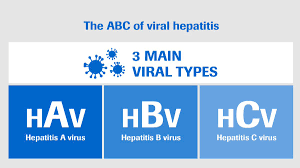 Don't worry, we faithfully appreciate your candor. Roche On Twitter Do You Know The Differences Between The Main Types Of Viral Hepatitis Https T Co X89d57f34p Nohep