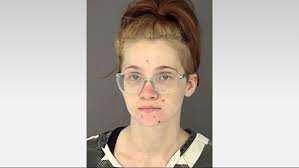 Meth sting leads to 13 arrested by Hamilton County sherriffs