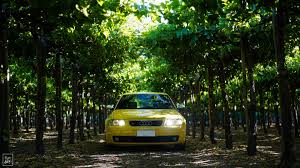Image result for Cosmic Yellow 2004 Audi