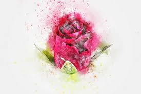 Instrúyete con los mejores vídeos de instrucciones paso a paso para aprender a dibujar flores ¡como un grande! Como Dibujar Una Rosa Paso A Paso