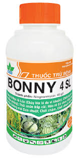 Bonny 4SL
