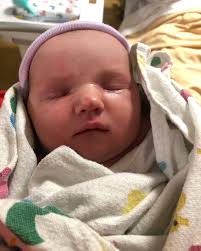 lesley maxfield (@lesley_maxfield) • Instagram photos and videos