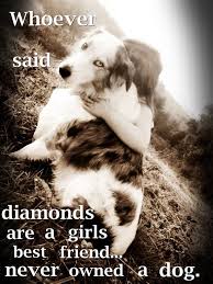 Whoever said that diamonds are a girl's best friend never owned a dog. unknown. Whoever Said Diamonds Are A Girl S Best Friend Her Passion For Poultry