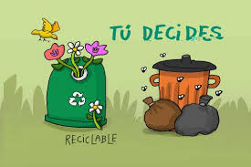 Resultado de imagen para como cuidar el medio ambiente
