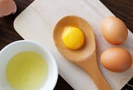 women likes lot of eggs ile ilgili görsel sonucu