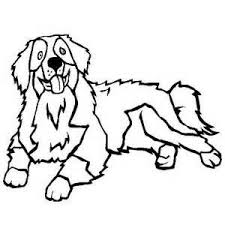 Draw Bernese Mountain Dogs Dog Coloring Page Dog Line Art Dog Sketch