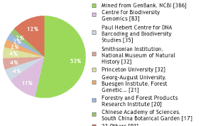 Image result for Phyllanthus hutchinsonianus