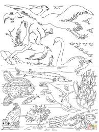 We've got a growing collection of bible story coloring pages for you to print up for your homeschool or … Creation Activity Pages 35 Images 7 Best Images Of Free Printable Creation Activity Pages Creation Coloring Pages Pdf For Preschoolers Creation Coloring Pages Creation Coloring Pages