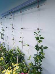 Maybe you would like to learn more about one of these? Diy Green Wall Cable Trellis Kit Cable Loft Wall Garden Etsy Wall Garden Wall Trellis Vertical Garden Wall