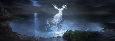 895 x 552 jpeg 31 кб. Patronus Charm Wizarding World