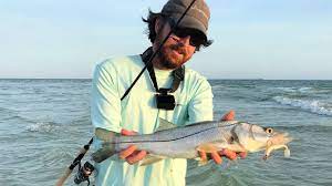 Here are the best lures and hooks to use when sight fishing for snook: How To Catch Snook Off The Beach During The Summer