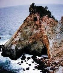 11 incredible rocks that look like animals illusion pictures optical illusions pictures nature
