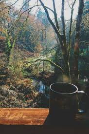 Coffe In The Forest Morning Coffee The Great Outdoors Photo