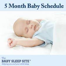 5 Month Old Baby Sleep Schedule The Baby Sleep Site