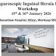 24th Laparoscopic Inguinal hernia repair workshop event image