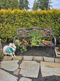 I'm in eastern Yakima… my neighbors have cows, and as much as I enjoy  watching them in the field, there are times I don't want to smell them 😂  so… looking for