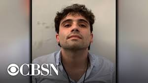 Афиша daily news одноклассники youtube. El Chapo S Son Captured Then Released During Shootout In Mexico Youtube