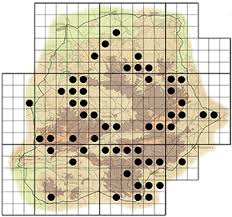 Image result for Coptosperma supra-axillare