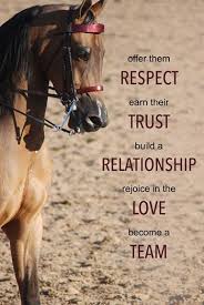 Riding a horse is not a gentle hobby, to be picked up and laid. Thinline Inspirational Horse Quotes Equestrian Quotes Horse Riding Quotes