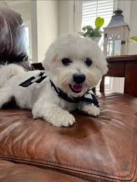 Just wanted to say hello from Southern California. This is Dixie.