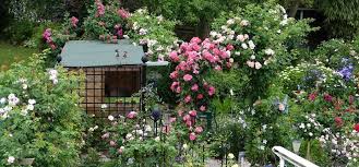 Der Ausblick Vom Balkon In Den Garten Voller Bluhenden Rosen Und Waldreben Sollte Das Holzhauschen Nicht Storen Deswegen Wer Rankgitter Kletterrosen Waldreben