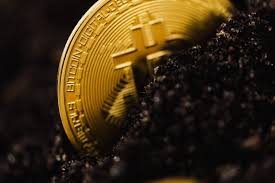 But don't expect anything soon. This Cryptocurrency Has More Than Doubled In 2021 Know All About It Cnbctv18 Com