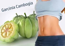 Garcinia Cambogia The Miracle Weight Loss Solution