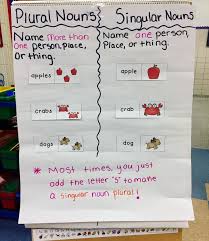 Singular And Plural Noun Anchor Chart For First Or Second Grade Singular And Plural Nouns Plurals Singular And Plural