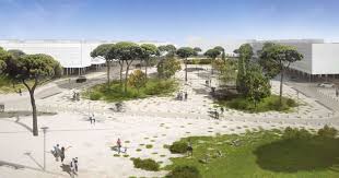 Piazzale del Verano e viale della XVII Olimpiade. I vincitori del ...