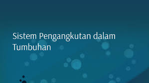 Proses kehilangan air dalam bentuk wap air dari Sistem Pengangkutan Dalam Tumbuhan By Nasrin Khadijah