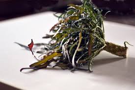 Great in a frittata and as pesto made with walnuts or pine nuts and without cheese. Broccolo Fiolaro Di Creazzo Proprieta Storia E Usi In Cucina