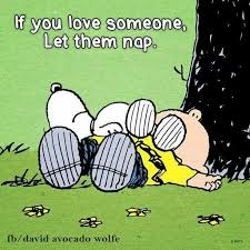 If You Love Someone Let Them Nap Snoopy Quotes Snoopy Love Snoopy