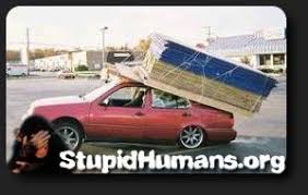 Stupid Humans This Car Was Loaded At The Waldorf Md Home Depot It Traveled About A 1 2 Mile To The Ihop Parking Lot A Diy Headboard Wooden Stupid Human Car