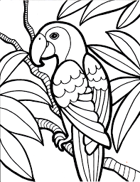 parrot clipart coloring pages and other free printable design themes parrot clipart coloring pages and