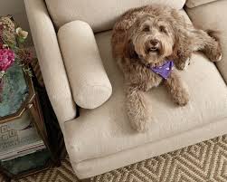 Best Sofas For Dogs