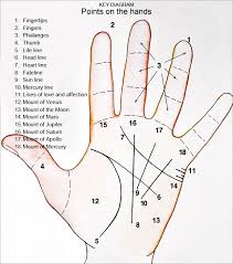 Palm Reading Diagram Wiring Diagrams