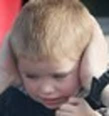 Thousands enjoy high-revving roar