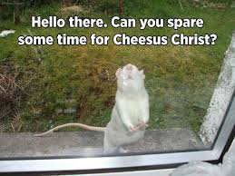 2 million monthly spotify listeners. Cheesus Christ Christ Animals My Love