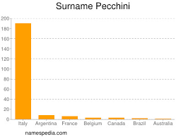 La tua famiglia, la tua casa, la tua attività. Pecchini Names Encyclopedia