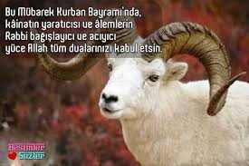 .bayram mesajları kurban, kurban bayramı mesajı, yeni kurban bayramı mesajları, en güzel kurban bayramı mesajları. En Guzel Ve En Yeni Kurban Bayrami Resimli Mesajlari Whatsapp Ve Facebook Kurban Bayrami Mesajlari