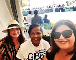 Rep. Debra Gibbs for Circuit Judge