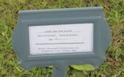 Glydon Leon Bush Walters (1927-2013): homenaje de Find a Grave