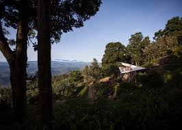 The tea plantation view from hotel room is very refreshing. Hornbill House Overlooks An Indian Tea Plantation